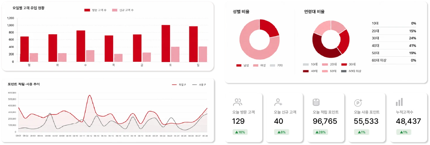 포인트100 고객 데이터 분석 화면