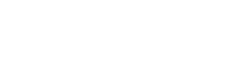 포인트100